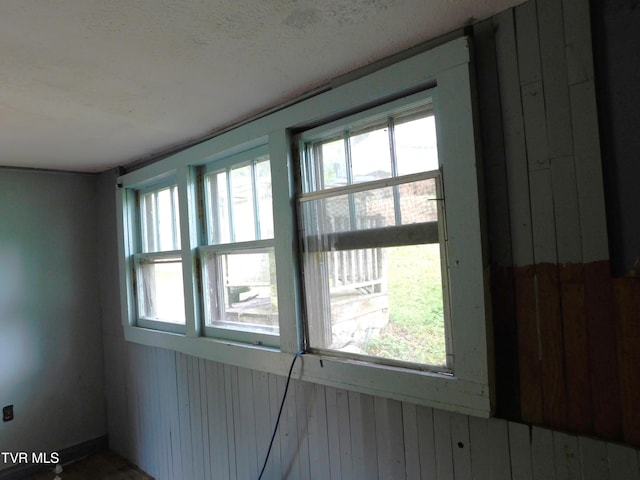 4314 Big Hill Rd, Pennington Gap, VA 24277 - doorway to outside with plenty of natural light and wooden walls