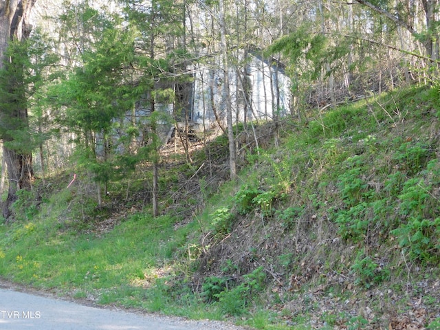 4314 Big Hill Rd, Pennington Gap, VA 24277 - view of local wilderness