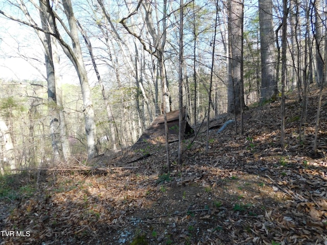 4314 Big Hill Rd, Pennington Gap, VA 24277 - view of woods