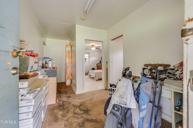 4136 Ridge Rd, Kingsport, TN 37660 - photo 25