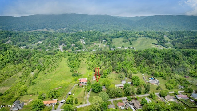 4136 Ridge Rd, Kingsport, TN 37660 - photo 33