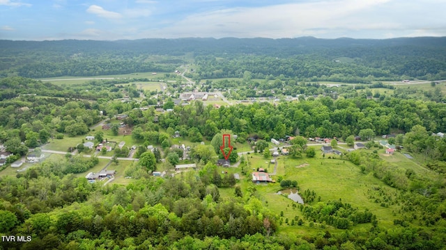 4136 Ridge Rd, Kingsport, TN 37660 - photo 34
