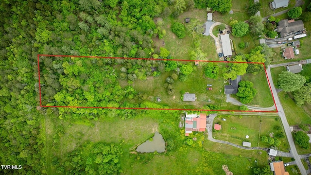 4136 Ridge Rd, Kingsport, TN 37660 - photo 31
