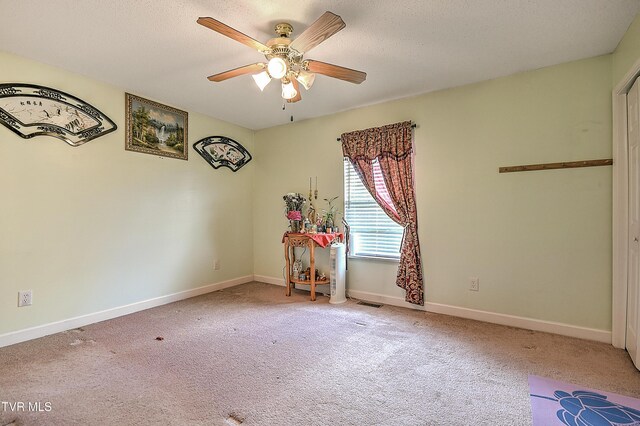 2814 Newport Hwy, Greeneville, TN 37743 - photo 9
