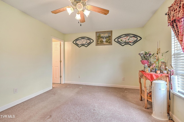 2814 Newport Hwy, Greeneville, TN 37743 - photo 10