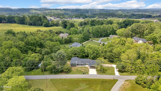drone / aerial view of a forest