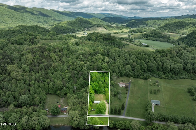 4383 Swinging Bridge Rd, Mendota, VA 24270