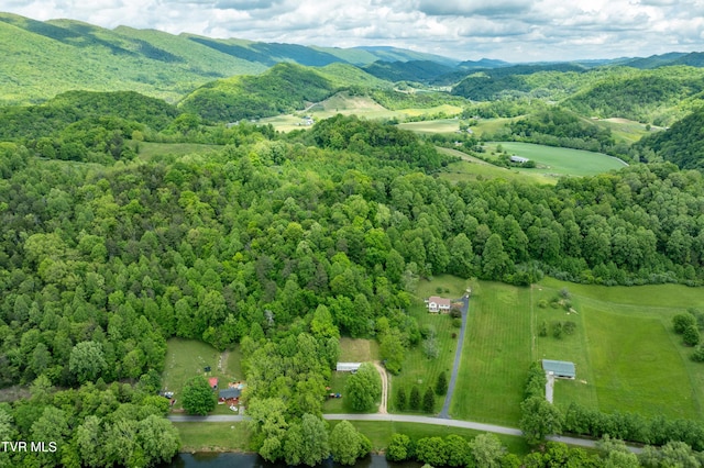 4383 Swinging Bridge Rd, Mendota, VA 24270