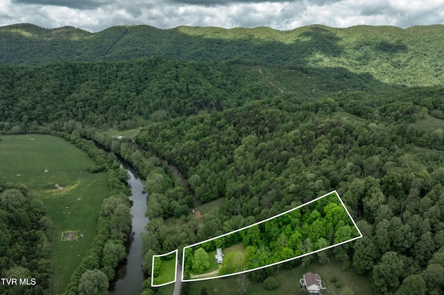 4383 Swinging Bridge Rd, Mendota, VA 24270
