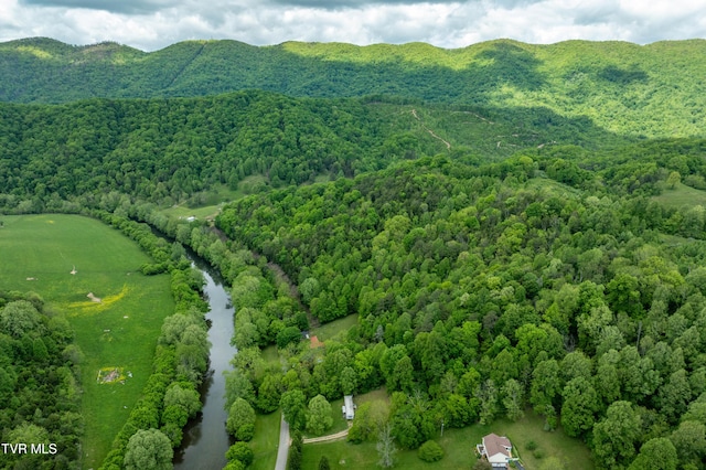 4383 Swinging Bridge Rd, Mendota, VA 24270