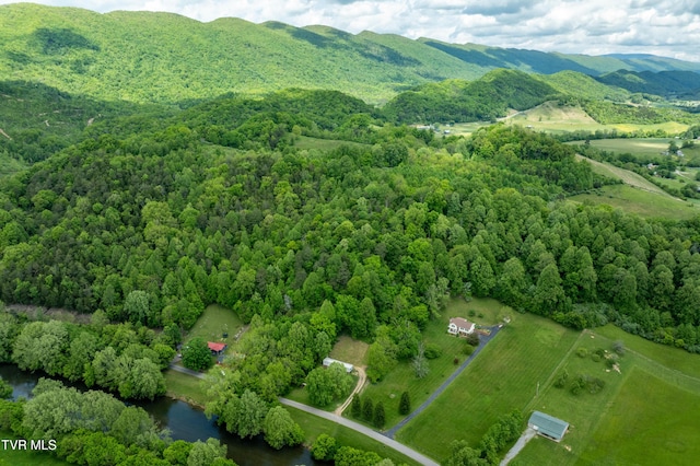 4383 Swinging Bridge Rd, Mendota, VA 24270