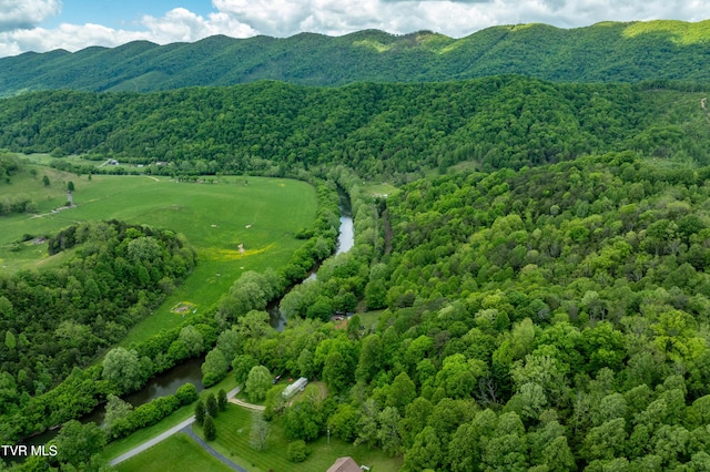 4383 Swinging Bridge Rd, Mendota, VA 24270