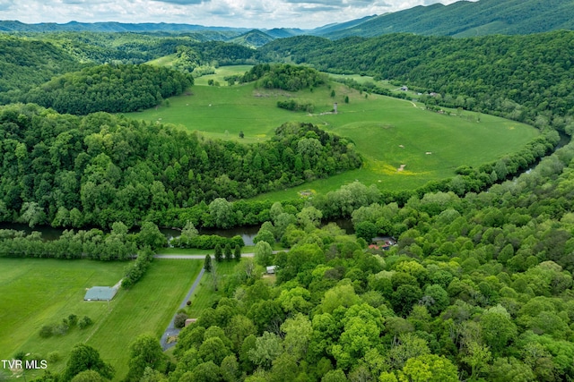 4383 Swinging Bridge Rd, Mendota, VA 24270