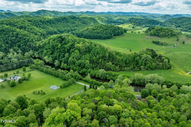 4383 Swinging Bridge Rd, Mendota, VA 24270
