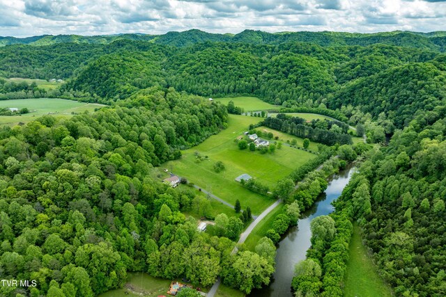4383 Swinging Bridge Rd, Mendota, VA 24270