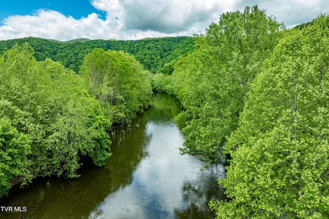 4383 Swinging Bridge Rd, Mendota, VA 24270