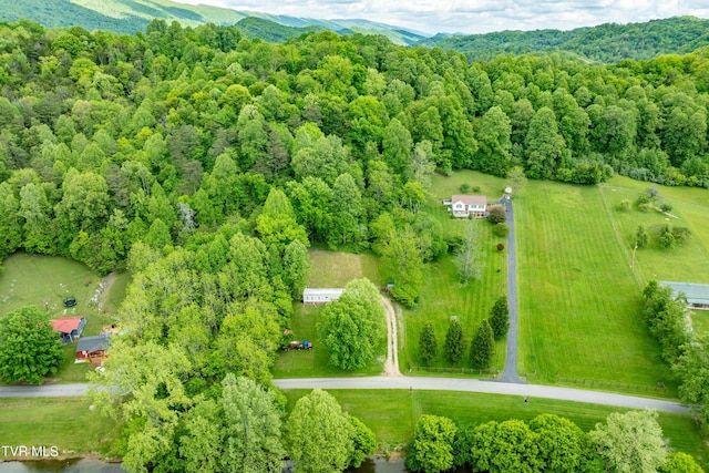 4383 Swinging Bridge Rd, Mendota, VA 24270