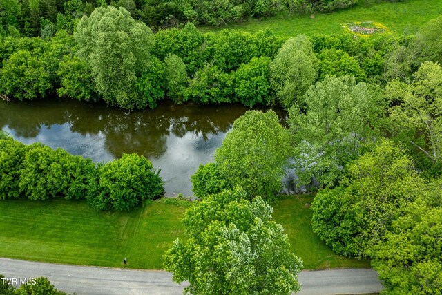 4383 Swinging Bridge Rd, Mendota, VA 24270