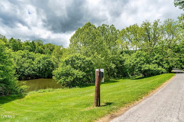 4383 Swinging Bridge Rd, Mendota, VA 24270