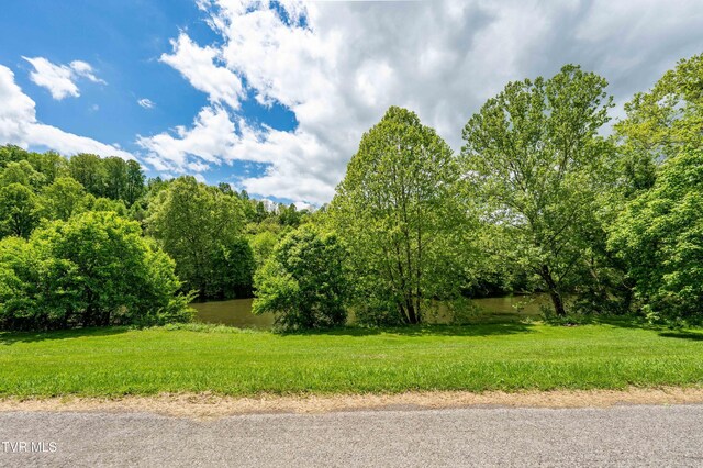 4383 Swinging Bridge Rd, Mendota, VA 24270