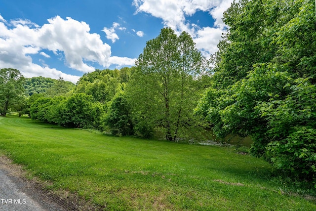 4383 Swinging Bridge Rd, Mendota, VA 24270