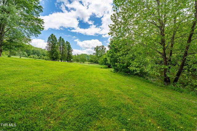 4383 Swinging Bridge Rd, Mendota, VA 24270
