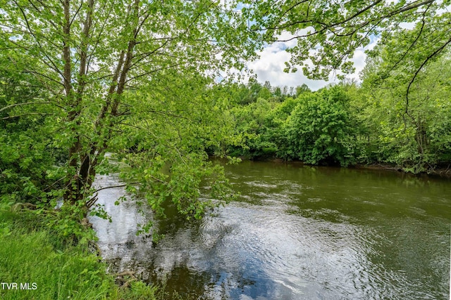 4383 Swinging Bridge Rd, Mendota, VA 24270