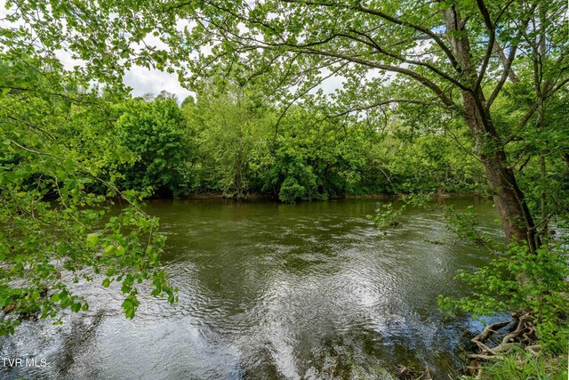 4383 Swinging Bridge Rd, Mendota, VA 24270
