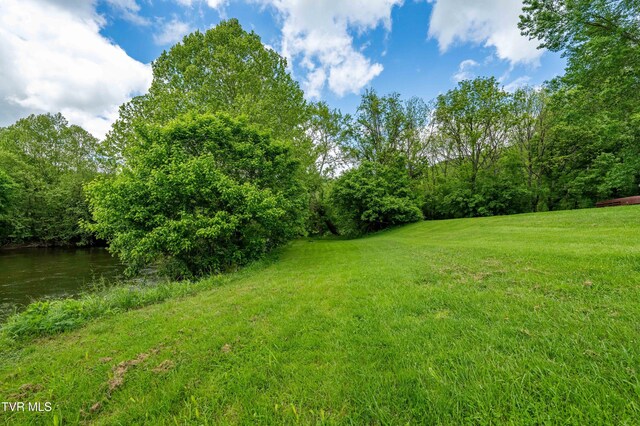 4383 Swinging Bridge Rd, Mendota, VA 24270