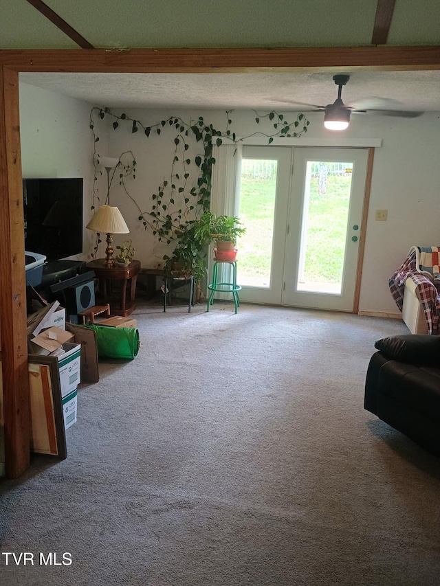 220 Fannin Rd, Greeneville, TN 37743 - photo 2