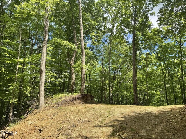 4090 Old Asheville Hwy, Flag Pond, TN 37657 - photo 13