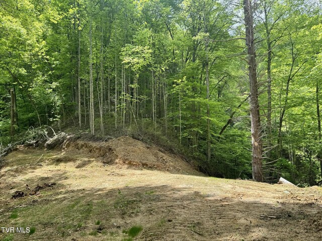 4090 Old Asheville Hwy, Flag Pond, TN 37657 - photo 14