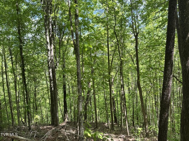 4090 Old Asheville Hwy, Flag Pond, TN 37657 - photo 19