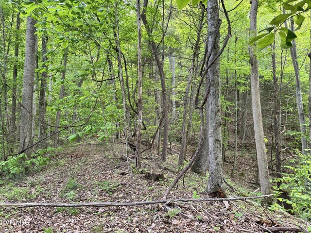 4090 Old Asheville Hwy, Flag Pond, TN 37657 - photo 20
