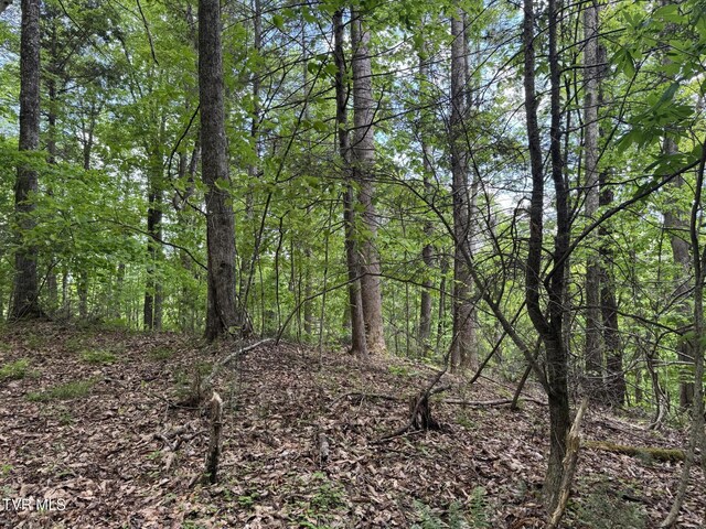 4090 Old Asheville Hwy, Flag Pond, TN 37657 - photo 21
