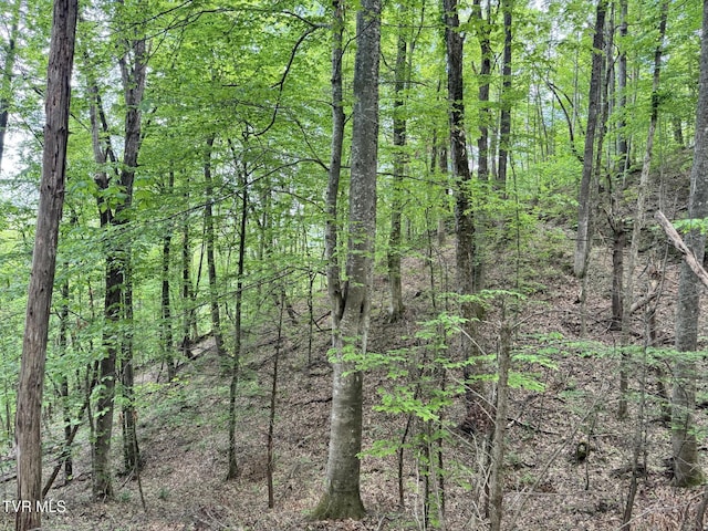 4090 Old Asheville Hwy, Flag Pond, TN 37657 - photo 23