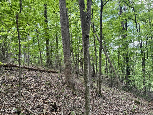 4090 Old Asheville Hwy, Flag Pond, TN 37657 - photo 24
