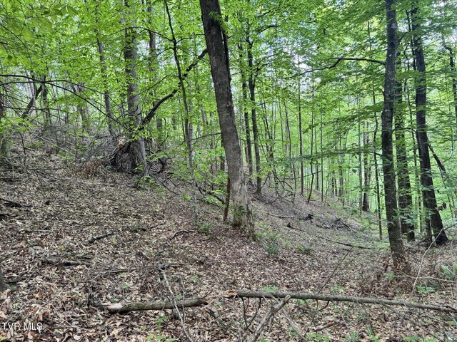 4090 Old Asheville Hwy, Flag Pond, TN 37657 - photo 25