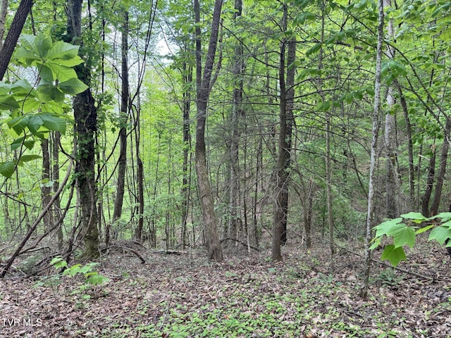 4090 Old Asheville Hwy, Flag Pond, TN 37657 - photo 26
