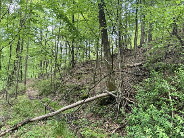 4090 Old Asheville Hwy, Flag Pond, TN 37657 - photo 27