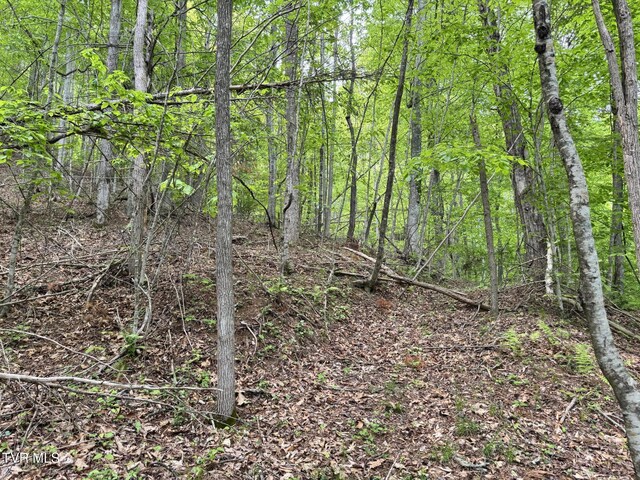 4090 Old Asheville Hwy, Flag Pond, TN 37657 - photo 28