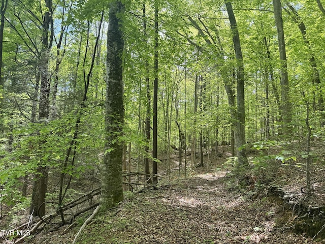 4090 Old Asheville Hwy, Flag Pond, TN 37657 - photo 2