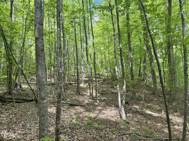 4090 Old Asheville Hwy, Flag Pond, TN 37657 - photo 5