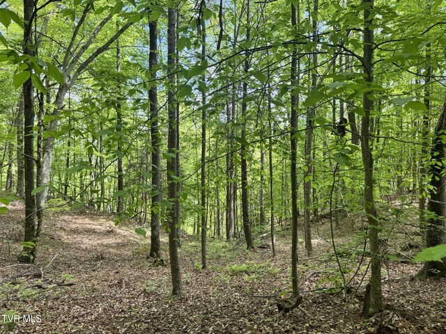 4090 Old Asheville Hwy, Flag Pond, TN 37657 - photo 3