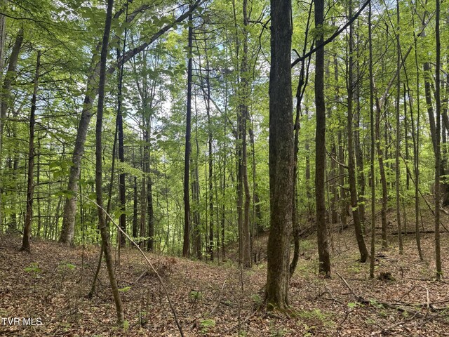 4090 Old Asheville Hwy, Flag Pond, TN 37657 - photo 4