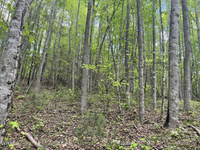 4090 Old Asheville Hwy, Flag Pond, TN 37657 - photo 31