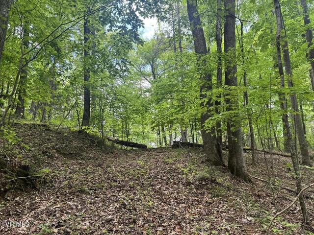 4090 Old Asheville Hwy, Flag Pond, TN 37657 - photo 6