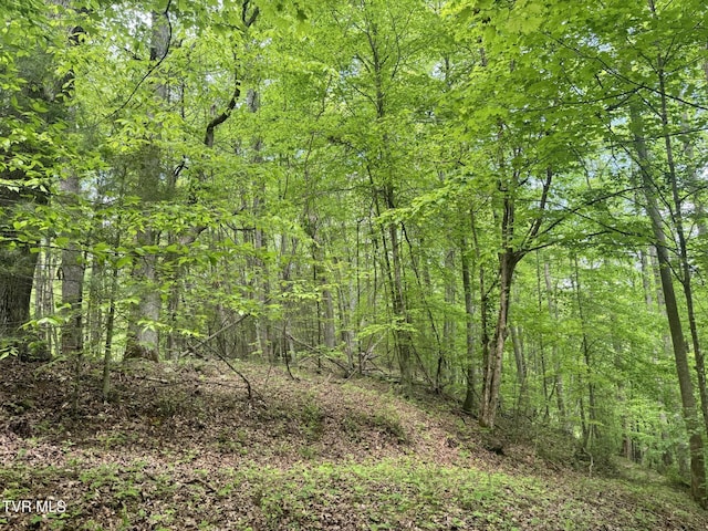 4090 Old Asheville Hwy, Flag Pond, TN 37657 - photo 29