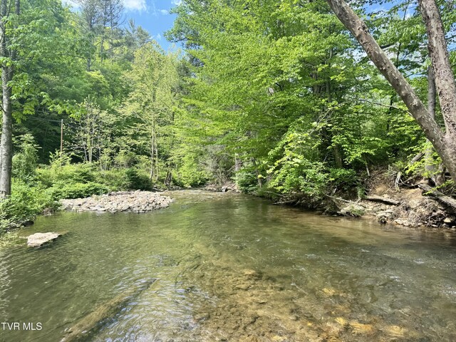 4090 Old Asheville Hwy, Flag Pond, TN 37657 - photo 39