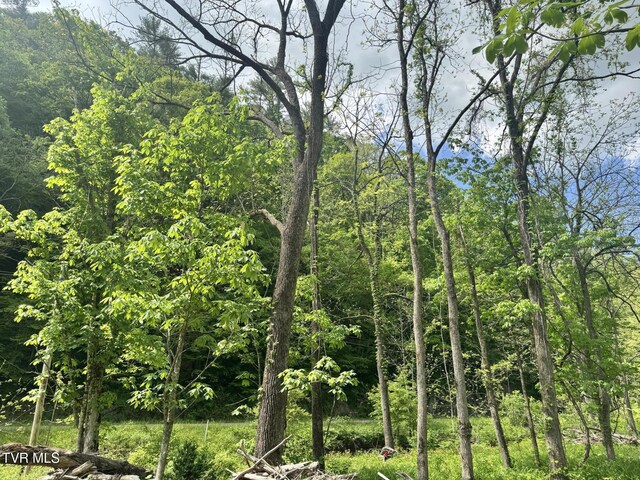 4090 Old Asheville Hwy, Flag Pond, TN 37657 - photo 38